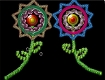 Screenshot of “Exotic Flowers”