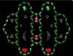 Screenshot of “The Green Ring Monster”