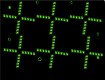 Screenshot of “going green”