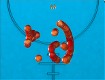 Screenshot of coconuts