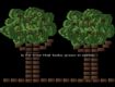 Screenshot of “is for tree that looks green in spring.”