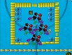 Screenshot of “birds”