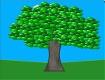 Screenshot of “tree”