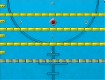 Screenshot of “in/out”